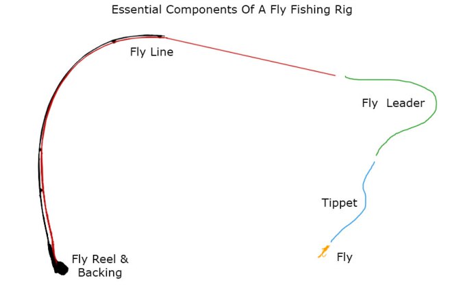 http://www.northumbrianflyfishing.co.uk/wp-content/uploads/2016/09/leader-and-tippet-jpg.jpeg