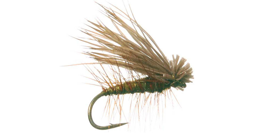 Elk hair caddis