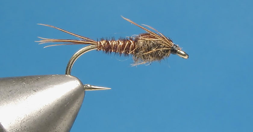 Pheasant tail nymph