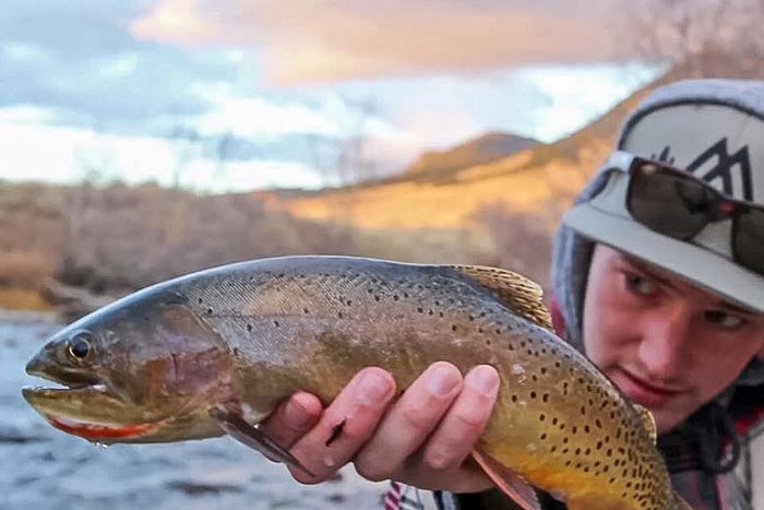 Josh holding a cutthroat in Montana